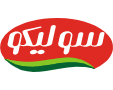 Solico-Logo